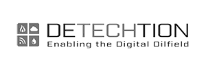 Detechtion logo